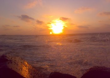 سألتنى صديقتى: لماذا الشمس لا يعيبها أحد؟