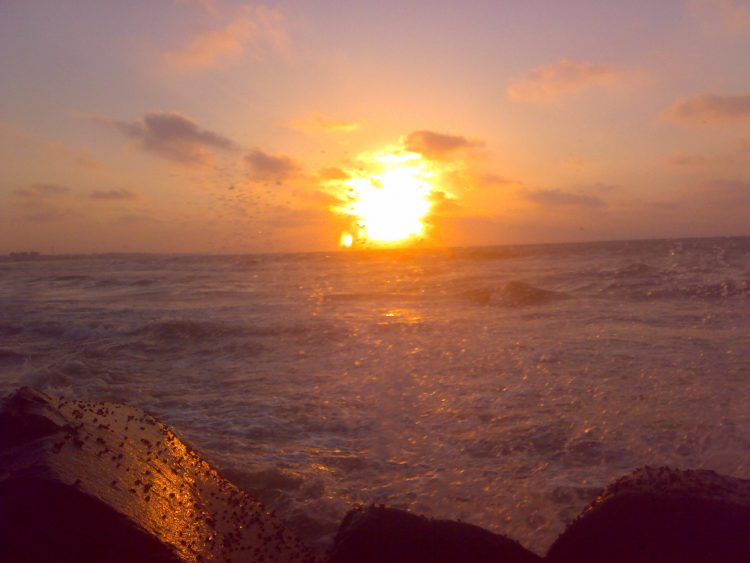 سألتنى صديقتى: لماذا الشمس لا يعيبها أحد؟