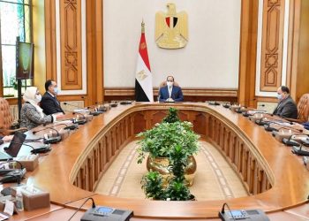 السيسي يُوجه بالبدء الفوري لإنشاء المعامل المركزية بالموانئ المصرية