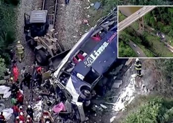 مصرع 17 شخصا إثر سقوط حافلة من فوق جسر بالبرازيل