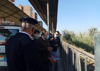 محافظة أسيوط تكشف حقيقة ظهور حيوان شبيه بالتمساح بترعة الملاح وتؤكد رصد ورل مائي