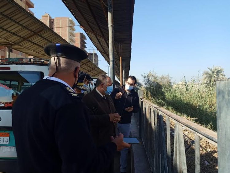 محافظة أسيوط تكشف حقيقة ظهور حيوان شبيه بالتمساح بترعة الملاح وتؤكد رصد ورل مائي 1 محافظة أسيوط تكشف حقيقة ظهور حيوان شبيه بالتمساح بترعة الملاح وتؤكد رصد ورل مائي