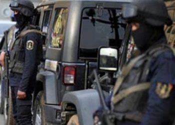 ضبط مختل عقليا أشعل النيران في عدد من السيارات بطنطا