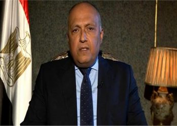 عاجل : وزير الخارجية المصري سيشارك في القمة الخليجية