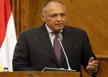 سامح شكرى أمام “النواب”: ملف مياه النيل الأهم على أجندة السياسة الخارجية