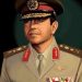 محافـظ الغربيــــه شكرا 13 محافـظ الغربيــــه شكرا