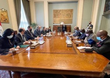 شكري يتناول قضية سد النهضة مع منسق خلية العمل المعنية بالرئاسة الكونغولية للاتحاد الأفريقي