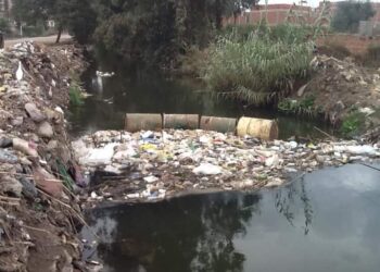 تبطين ترعة عمر بك بشبرابيل وشبراقاص بالسنطه مطلب جماهيري