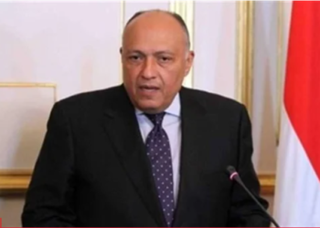 وزير الخارجية: مصر تربطها علاقات دبلوماسية بإثيوبيا وهناك تمثيل مصري في أديس أبابا