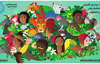 تحت شعار الغابات وسبل العيش : الاستدامة للناس والكواكب”