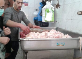 ضبط لحوم غير صالحة للاستهلاك الآدمي في حملة تموينية على الأسواق بطنطا