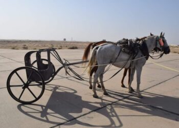 ” وزارة الإنتاج الحربى ” تشارك فى الموكب العالمى   لنقل ” المومياوات الملكية “