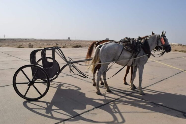 " وزارة الإنتاج الحربى " تشارك فى الموكب العالمى  لنقل " المومياوات الملكية " 1 ” وزارة الإنتاج الحربى ” تشارك فى الموكب العالمى   لنقل ” المومياوات الملكية “