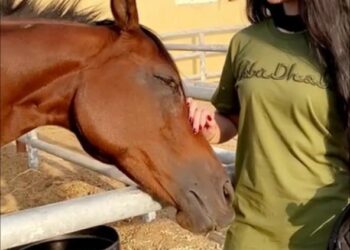 الفارسة مريم الصباغ : أسعى لتحقيق مركز متقدم فى البطولة الدولية القادمة بالفلبين