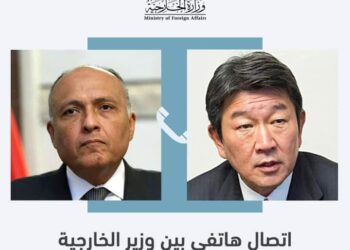 وزير الخارجية المصري يبحث مع نظيره الياباني العلاقات الثنائية وعدد من الملفات الإقليمية والدولية