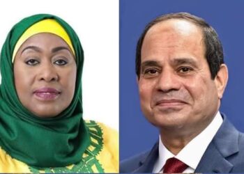 الرئيس عبد الفتاح السيسي يجري اتصالًا هاتفيًا مع سامية حسن رئيسة جمهورية تنزانيا المتحدة