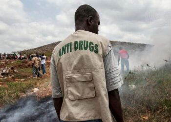 الأمم المتحدة : 275 مليون شخص استخدموا المخدرات في جميع أنحاء العالم في العام الماضي الذي شهد اضطرابات غير مسبوقة ناجمة عن جائحة كوفيد- 19