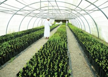 صندوق التنمية الزراعية والسمكية بعُمان رافد محوري لاستدامة المشروعات وفق رؤية 2040