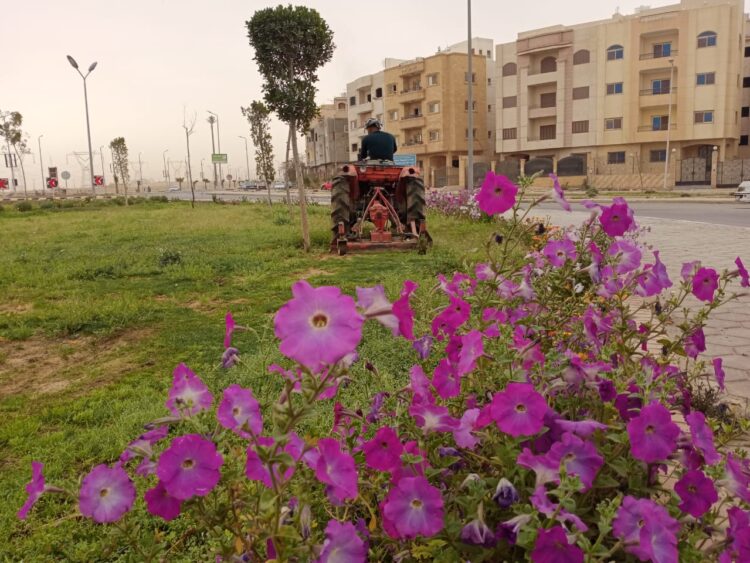 رئيس جهاز “الشروق”: جارٍ استكمال رفع كفاءة الطرق وتنسيق v بمنطقتي إسكان المستقبـل والإسكان العائلى