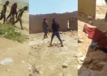 شبكة إعلام المرأة العربية تطالب المجتمع الدولى بملاحقة مرتكبى جريمة قتل فتاة الحسكة