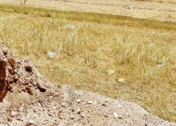 أهالي الحميدات شرق يشتكون من إتلاف محاصيلهم الزراعية بسبب نقص المياه