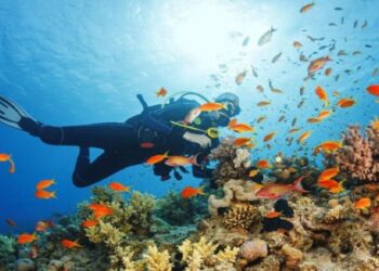 مشروعات سياحية عُمانية تفوز بجوائز عالمية