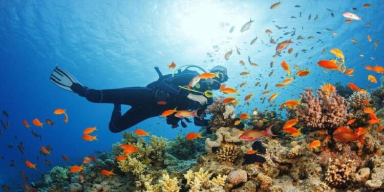 مشروعات سياحية عُمانية تفوز بجوائز عالمية 1 مشروعات سياحية عُمانية تفوز بجوائز عالمية