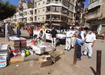 رفع الاشغالات وإزالة كل أشكال التعديات بمدينه دسوق