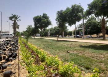 رئيس الجهاز: تكثيف أعمال صيانة المسطحات الخضراء والمزروعات بمداخل مدينة الشروق لتحسين الصورة البصرية