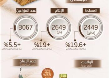 19% ارتفاعاً في إنتاج سلطنة عُمان من القمح