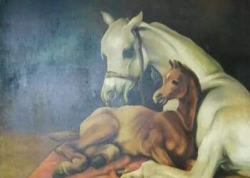 ننفرد بنشر الأعمال الفنيه للمهندس طه الشافعي رئيس جمعية الشبان المسلمين بالسنطه‎‎