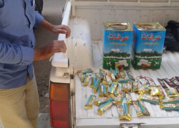 تحرير ١١ محاضر وضبط ٢٤كجم جبن منتهي الصلاحية في حملة تموينية بطنطا والمحلة