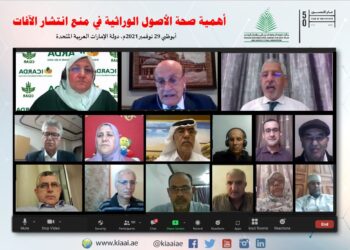 جائزة خليفة الدولية .. الدكتورة صفاء قمري تبرز أهمية صحة الأصول الوراثية في منع إنتشار الأمراض النباتية