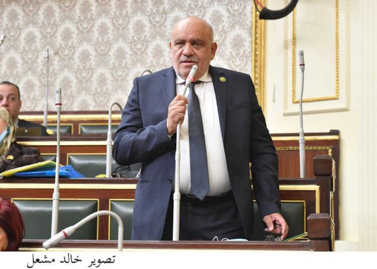 النائب سيد حنفى : مصر تقدم الخدمات الأساسية “بسخاء” للمهاجرين واللاجئين بشهادة من الأمم المتحدة
