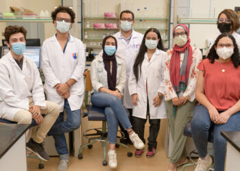 طلاب الجامعة الأمريكية بالقاهرة يفوزون بميدالية فضية لتطوير نموذج نظري لمعالجة فيروس كورونا في مسابقة آى جيم الدولية لعام 2020‎‎