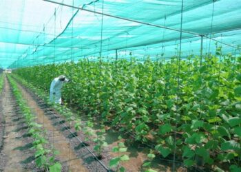 سلطنة عُمان تنفذ عدة مشروعات جديدة في قطاعات الثروة الزراعية وموارد المياه