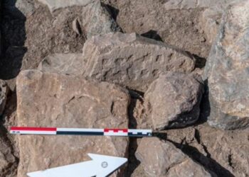 اكتشاف أثري نادر في سلطنة عُمان يرجع إلى الألف الثالث قبل الميلاد