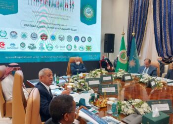 ابو الغيط يشيد بما تشهده المملكة العربية السعودية من مشاريع ومبادرات وإصلاحات غير مسبوقة وفق رؤية ثاقبة تعزز مكانتها إقليميا ودوليا”