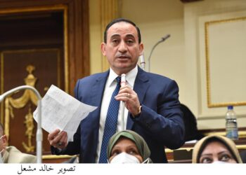 النائب محمد زين يطالب باستدعاء وزيرى التضامن والتنمية المحلية لرصد تجاوزات الرعاية الاجتماعية