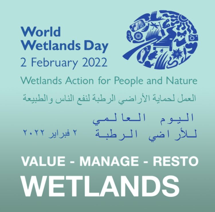 مصر تشارك العالم الاحتفال باليوم العالمي للأراضي الرطبة على منصات التواصل الاجتماعى 1 مصر تشارك العالم الاحتفال باليوم العالمي للأراضي الرطبة على منصات التواصل الاجتماعى