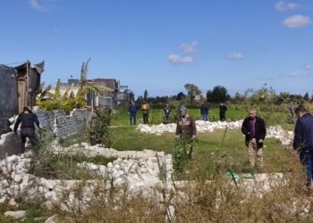 استمرار الحملات المكبرة لإزالة التعديات على أراضي أملاك الدولة