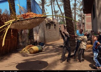 إعلان أسماء الفائزين في مسابقة”النخلة في عيون العالم” بدورتها الثالثة عشرة 2022