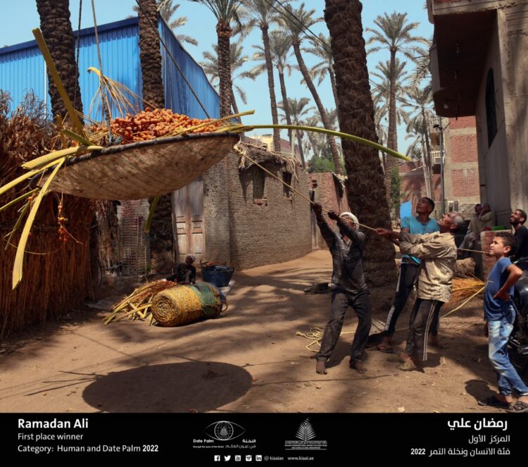 إعلان أسماء الفائزين في مسابقة"النخلة في عيون العالم" بدورتها الثالثة عشرة 2022 1 إعلان أسماء الفائزين في مسابقة”النخلة في عيون العالم” بدورتها الثالثة عشرة 2022