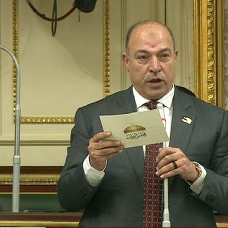 تضامن النواب يشيد التوجه الرئاسى بزيادة المعاشات 13% أول أبريل 1 تضامن النواب يشيد التوجه الرئاسى بزيادة المعاشات 13% أول أبريل