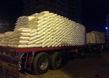 العباسى ينفى أى علاقة للحرب الروسيه الأوكرانيه بزيادة أسعار الأسمده .