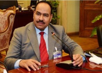 النائب أحمد قورة يثمن حرص مصر على عرض أولويات القارة الإفريقية بجميع المبادرات الدولية