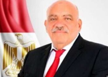 النائب سيد حنفى يثمن الاجراءات الحكومية لمواجهة التداعيات السلبية للحرب الروسية الاوكرانية ﻿