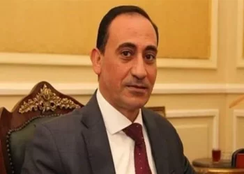 النائب محمد زين الدين : القطار الكهربائي السريع يحقق مكاسب متعددة للاقتصاد والسياحة