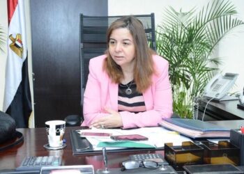 الرئيس التنفيذي لصندوق الإسكان الاجتماعي ودعم التمويل العقاري