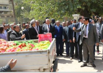 الزراعة توفر السلع والمنتجات الغذائية بأسعار مخفضة للمواطنين تنفيذا لتوجيهات فخامة الرئيس السيسي